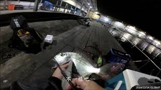 初次的嘗試!!海釣場夜釣~~ 潮旺海釣場釣遊 2019.11.14