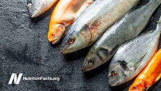 Fish Consumption and Suicide