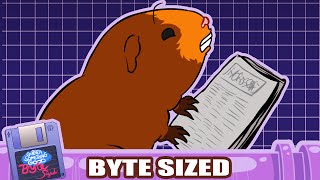 Are Horoscopes for Real? Find out - "Message from the Stars" (Guinea Something Good Byte-Sized #10)