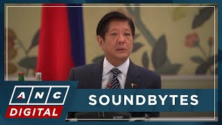 Marcos: PH eyeing to procure Avian, Swine flu vaccines from Czech Republic | ANC