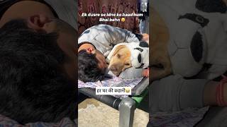 janmo ke sathi 😂 || labra rubi || #shorts #youtubeshorts #labrador #dog #funny #memes #viralshort