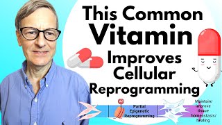 Vitamin B12 Improves Cellular Reprogramming