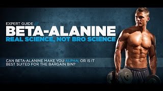 תוסף חומצות אמינו בטא אלנין אלאנין - Amino Acid Beta Alanine