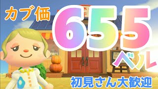 カブ価655ベル 島開放中！ あつまれどうぶつの森