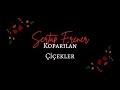 Sertap Erener - Koparılan Çiçekler (Sözleri)