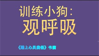 训练小狗：观呼吸--- 《踏上心灵幽径》书摘