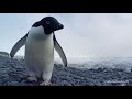 Expedition Antarctica 2017