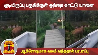 குடியிருப்பு பகுதிக்குள் ஒற்றை காட்டு யானை - ஆக்ரோஷமாக வலம் வந்ததால் பரபரப்பு