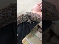 tokek, bunglon menangis, #animals #gecko #shorts #tokek #badut #short #tắc_kè #cucutv #bebek #sapi