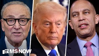 What is the future of the Democratic party? Primaries could give key insight