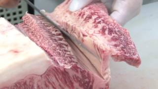 ［熟成肉解体ショー］　サーロイン編｜門崎熟成肉 格之進