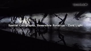 Spatial Calligraphy, Reversible Rotation - Cold Light