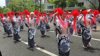 2017　こうべみなと音頭