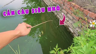 Lạ Vlog Chế Tạo Cần Câu Nhỏ Nhất Thế giới ( make mini fishing rod )