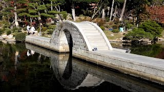 晩秋の風景 (縮景園，鳳源寺) 4K /  Late autumn scenery (Shukkeien Garden，Hogenji Temple)