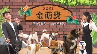 馬麻我得獎了！最萌犬明星來報到｜萌萌懂懂 EP8｜2021金萌獎｜游星淵 陳思綾｜傑克羅素梗犬、柴犬、馬爾濟斯、高加索犬、米克斯