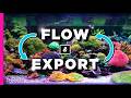 Optimizing Aquarium Flow and Waste Export: A Complete Guide