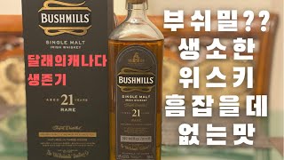 술 리뷰 #9] 부쉬밀 싱글몰트 21년 / Bushmills 21yrs Single Malt Rare