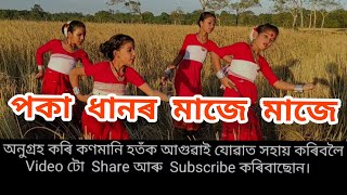 পকা ধানৰ মাজে মাজে সৰু সৰু আলি //Paka dhanor maje maje saru saru ali // Don Saloi official