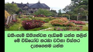 Buckingham සිහිගන්වන හපුතලේ Adisham Bunglow ගැන හරියටම දැනගන්න වටිනා වීඩියෝව නරඹන්න