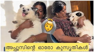 കുറച്ചു നേരം വൈകിയാലുള്ള അവസ്ഥ🙆​⁠@vichuzappuzvlog1236 #pets #dog #puppy #youtube #dogs #puppies