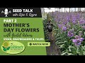 Seed Talk #36 - Mother's Day Flowers, Part 2 - Stock, Snapdragons & Tulips with Gretel Adams