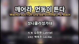 깨어라 먼동이 튼다/지휘 김창환Gabriel/오르간 박옥주Cecilia/성니콜라성가대/2024.12.1/대림1주일/대한성공회서울주교좌성당