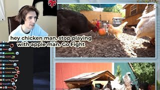 xQc just Realized he Spend almost 300 Bucks to Feed Chicken (and Ducks, Fish)