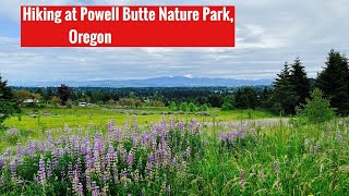 Hiking at Powell Butte Nature Park, Oregon- Beautiful wild flowers