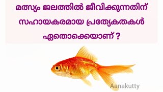 മത്സ്യം ജലത്തിൽ ജീവിക്കുന്നതിന് സഹായകരമായ പ്രത്യേകതകൾ ഏതൊക്കെയാണ് ? #fishAdaptation  @Aanakutty