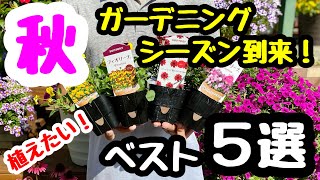 ■秋に絶対おすすめ🌱『ベスト５選』お花は全部きれい！