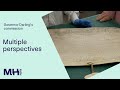 Stage 2: Terra Nullius, Perspectives, Reconciliation