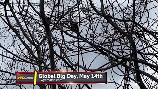 INFO Simcoe | Wye Marsh 'Global Big Day' on May 14th! | Rogers tv