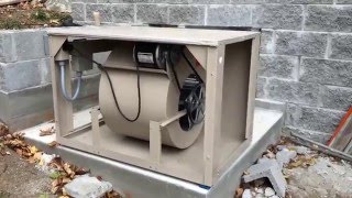 Aquaponics Greenhouse Evaporative Cooler Installation