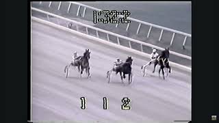 Monticello Raceway Presents The Final Of The 1981 Hambletonian Won by Shiaway St. Pat \u0026 Ray Remmen