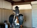 12 15 10 cc rider on mechanical bull