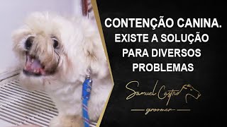 CONTENÇÃO CANINA. EXISTE A SOLUÇÃO PARA DIVERSOS PROBLEMAS - SAMUEL CASTRO