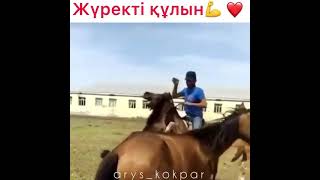 ЖҮРЕКТІ АЙҒЫР ЕКЕН!! 😍🇰🇿🐴 #тайынша #кокпар #казакстан #аттар