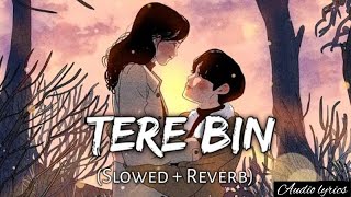 Tere Bin [Slowed+Reverb] - Rahat Fateh Ali Khan, Asees Kaur | Audio Lyrics | textaudio