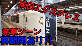 E259系成田エクスプレス千葉駅発車シーン【ドア再開閉あり】