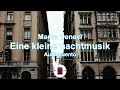 Marco Denevi EINE KLEINE NACHTMUSIK│Narrabooks