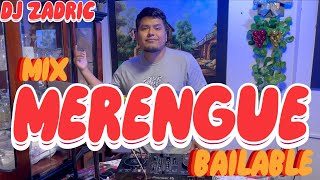 MIX MERENGUE BAILABLE - DJ ZADRIC (OLGA TAÑON, EDDY HERRERA, HNOS ROSARIO, JOSEPH FONSECA, ELVIS C.)