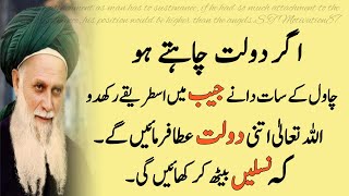 Dolat chahte ho chawal ke 7 dane jeb me rakhlen | Hakeem Luqman Quotes | S.T Motivation87