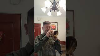 carol brass mini pocket trumpet a fistful of dollars