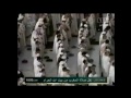 march 28 2012 ~ makkah maghrib led by sheikh ghazzawi