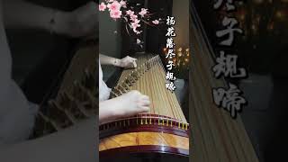 《杨花落尽子规啼》纯筝版（Zither Cover）演奏：Cate古筝 （小红书同名）用琴：朱雀613小筝