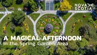 A Magical Afternoon in the Spring Garden Area