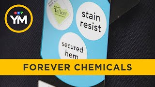 Regulating 'forever chemicals' in Canada | Your Morning