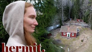Why Living Alone In The Woods Will Change You Forever | my experience (Story 47)