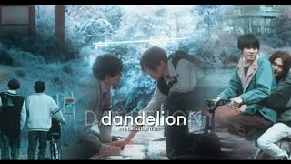 KIYOI X HIRA [BL] || FMV || DANDELION || MY BEAUTIFUL MAN